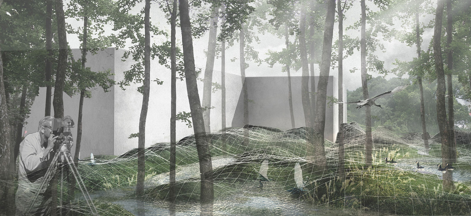 Ray Lui Ruixiang (2020). Overall Winner & Winner Category C (Student Award), HKILA-YLAG.