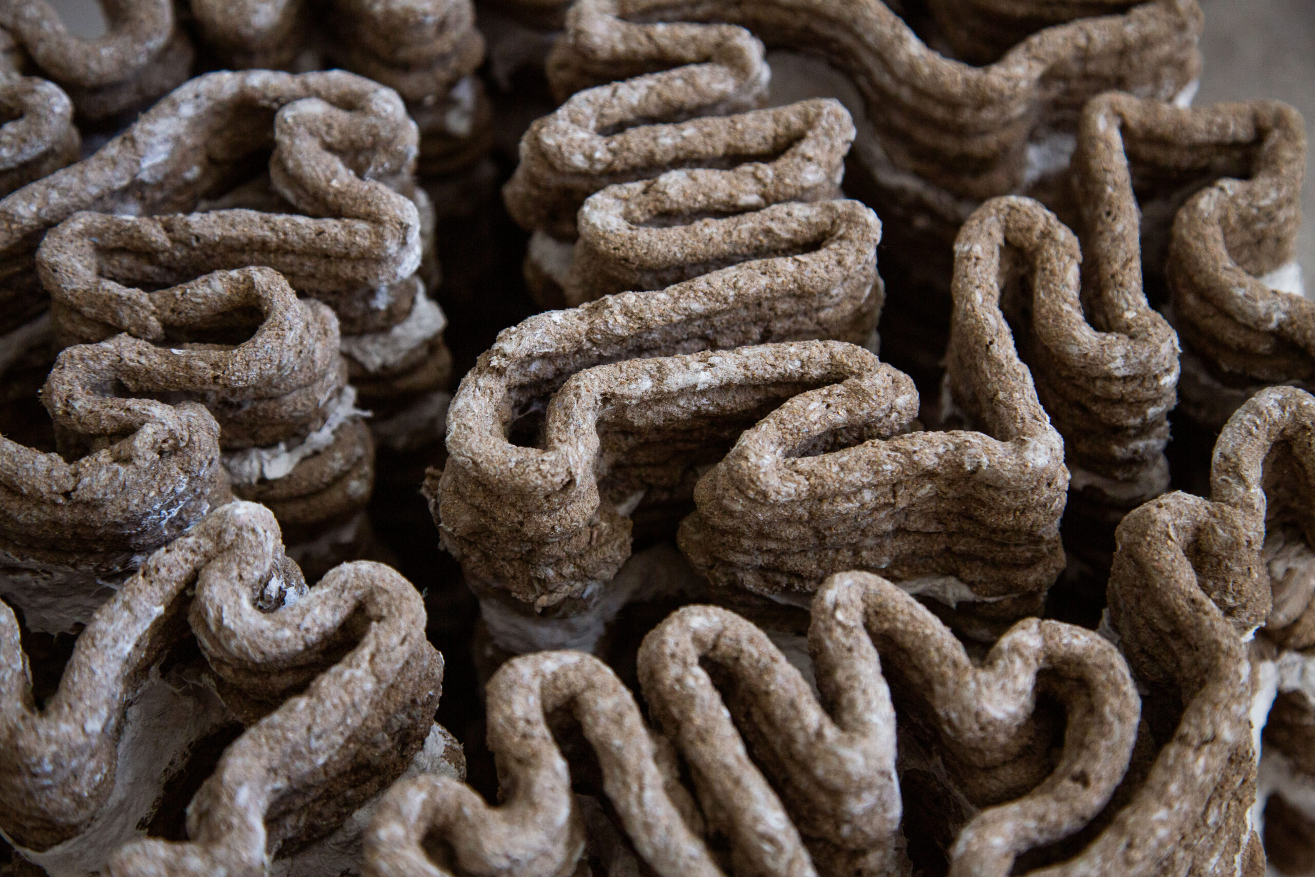 Senior BASc(Design+) students Tse Fergal Yau Wai and Huynh Ngoc Anh Duy ...