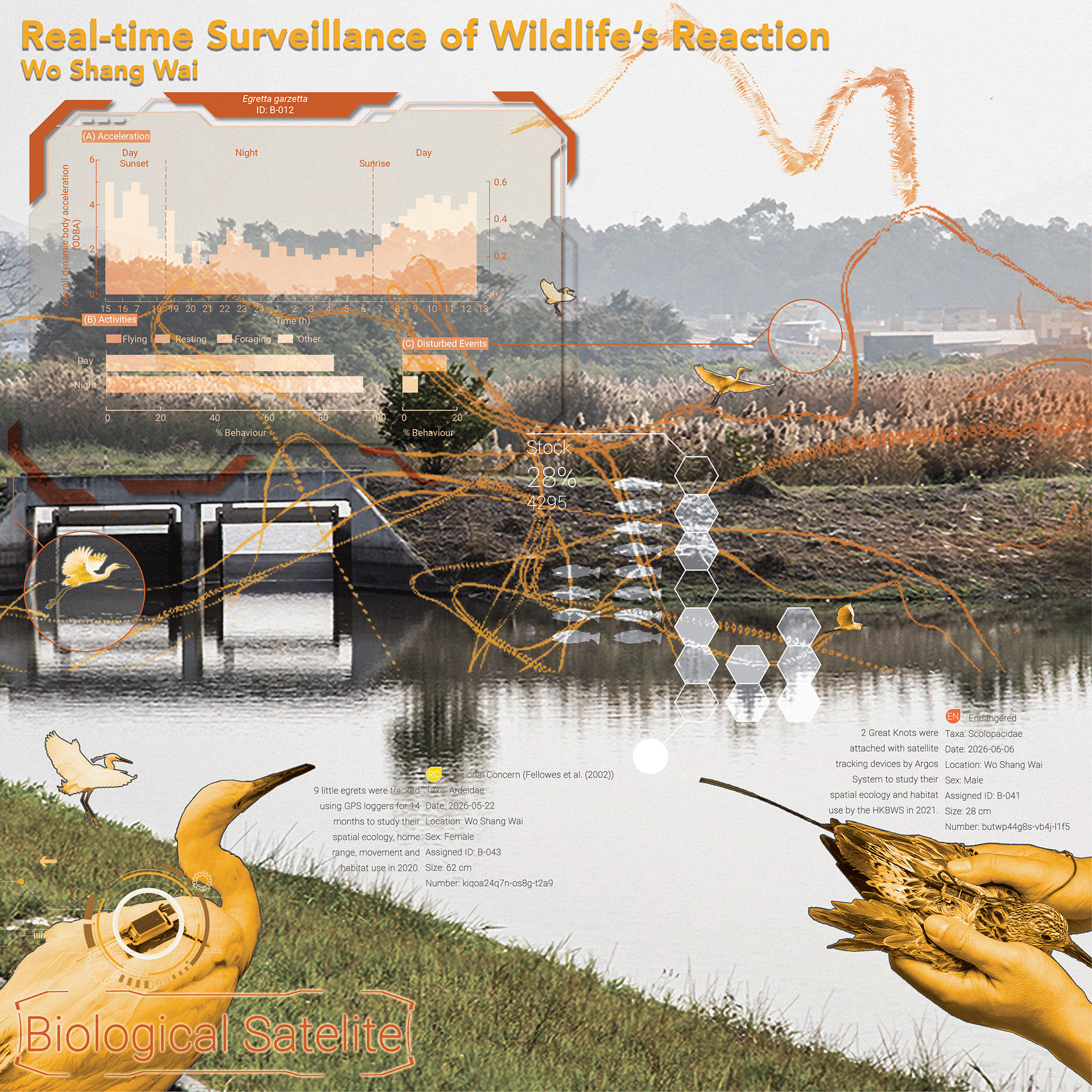 Slow Science in Development: Ensuring principled ecological auditing ... - Urban Gradually Decod Computing Ecological Noble Macaw Cage